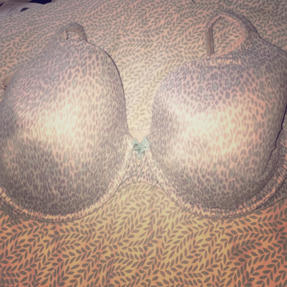 Victoria’s Secrets Bra 36DDD
